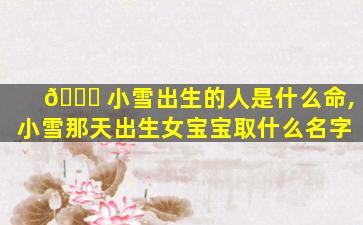 🐅 小雪出生的人是什么命,小雪那天出生女宝宝取什么名字